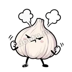 蒜头阿宽第二弹