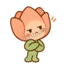 软瓣郁金香