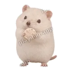 分你点 - 呆萌小仓鼠表情