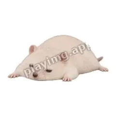 累趴了 - 呆萌小仓鼠表情