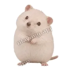 亲爱的 - 呆萌小仓鼠表情