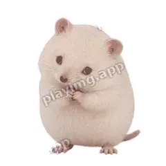 别生气 - 呆萌小仓鼠表情