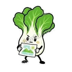 别夸先挑错 - 白菜练练表情
