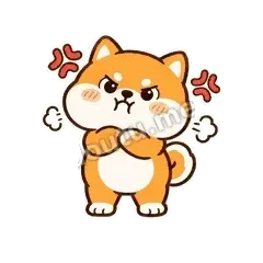 小柴犬第二弹