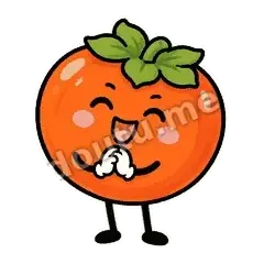 好运柿宝