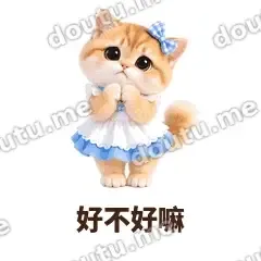 蓝裙金渐层