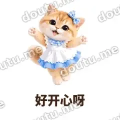 好开心呀 - 蓝裙金渐层表情