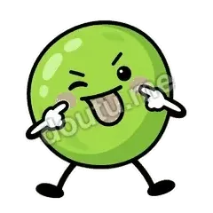 豌豆皮皮