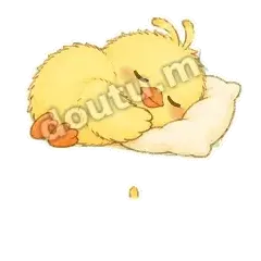 睡觉鸭 - 小黄鸭表情