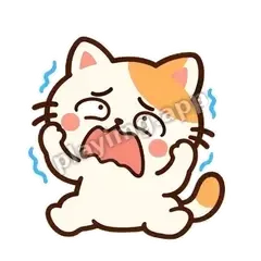 小猫崩溃 - 边框傲娇猫表情