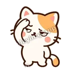 边框傲娇猫 封面