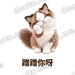 蓝眼布偶