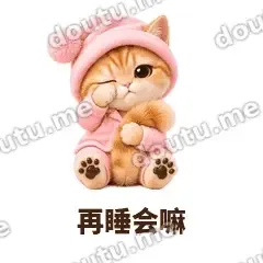 再睡会嘛 - 粉睡衣金渐层表情