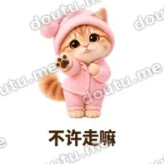 粉睡衣金渐层