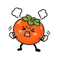 好运柿宝第二弹