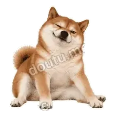 你开心就好 - 欠欠柴犬抓拍版表情