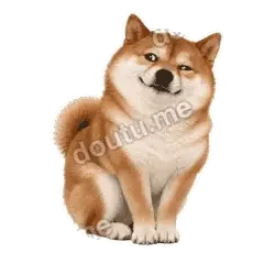 我超听话 - 欠欠柴犬抓拍版表情