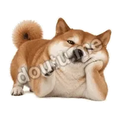 又想你了 - 欠欠柴犬抓拍版表情