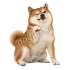 我装的啦 - 欠欠柴犬抓拍版表情