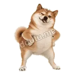 略略略 - 欠欠柴犬抓拍版表情