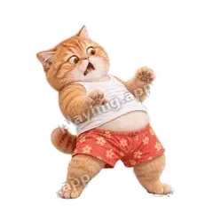 啊这 - 拽拽橘猫表情