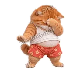 没眼看 - 拽拽橘猫表情