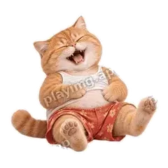 笑死我了 - 拽拽橘猫表情