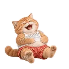 笑死我了 - 拽拽橘猫表情