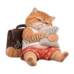 不想上班 - 拽拽橘猫表情