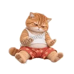 忙个寂寞 - 拽拽橘猫表情