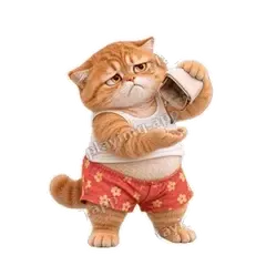拽拽橘猫