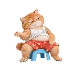 随便吧 - 拽拽橘猫表情