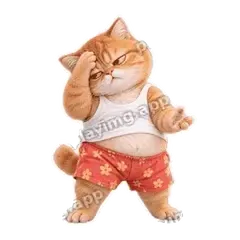 服了你了 - 拽拽橘猫表情