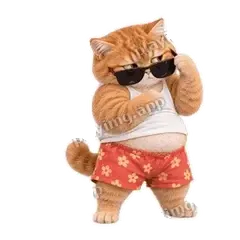装不下了 - 拽拽橘猫表情