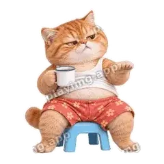急啥呀 - 拽拽橘猫表情