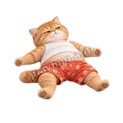 我躺了 - 拽拽橘猫表情