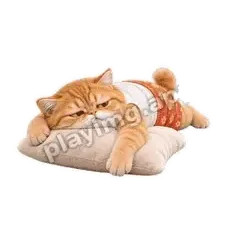 懒得动 - 拽拽橘猫表情