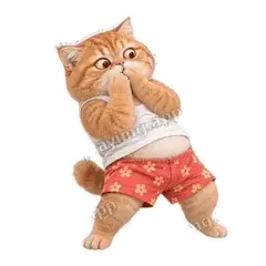 哎哟喂 - 拽拽橘猫表情