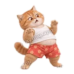啊这 - 拽拽橘猫表情
