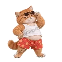 别装了 - 拽拽橘猫表情