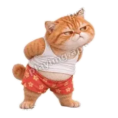 我就看看 - 拽拽橘猫表情