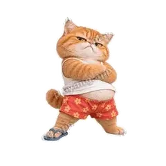 就不服 - 拽拽橘猫表情