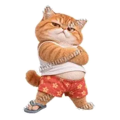 就不服 - 拽拽橘猫表情