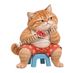 吃瓜中 - 拽拽橘猫表情