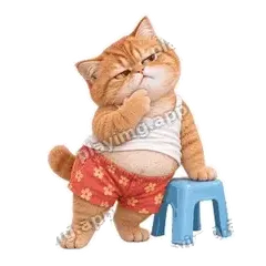 真的假的 - 拽拽橘猫表情