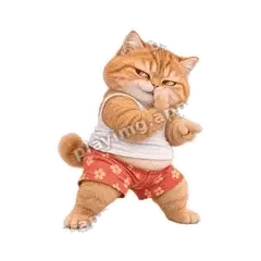 你懂的 - 拽拽橘猫表情