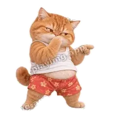 你懂的 - 拽拽橘猫表情