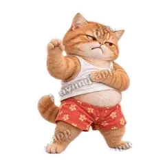算你狠 - 拽拽橘猫表情