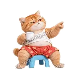 领导发言 - 拽拽橘猫表情