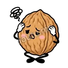核桃想想